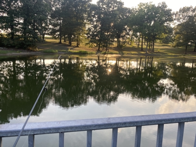 300 Acre+/- Private Estate For Sale In Tn, 2 Homes, Lake - image 30