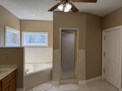 300 Acre+/- Private Estate For Sale In Tn, 2 Homes, Lake - image 17