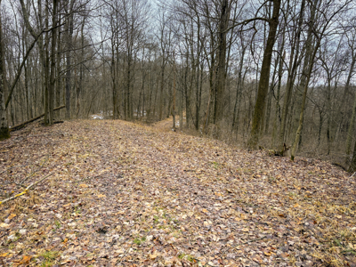 Monroe County OH 160 +/- Acres of Hunting Land - image 6