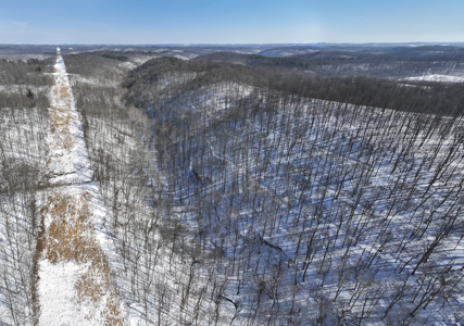 Monroe County OH 160 +/- Acres of Hunting Land - image 1