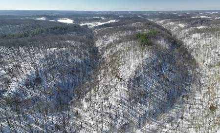 Monroe County OH 160 +/- Acres of Hunting Land - image 2