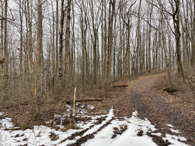 Monroe County OH 160 +/- Acres of Hunting Land - image 3