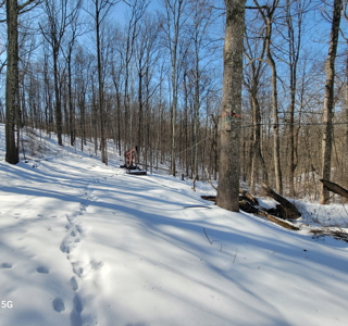 Monroe County OH 80 +/- acres Hunting/Recreational Land - image 3