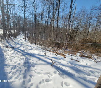 Monroe County OH 80 +/- acres Hunting/Recreational Land - image 4