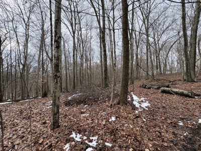 Monroe County OH 80 +/- acres Hunting/Recreational Land - image 5