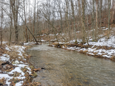 Timberland Property bordering Wayne National Forest with Road Fro - image 5