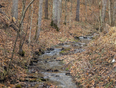 Timberland Property bordering Wayne National Forest with Road Fro - image 4