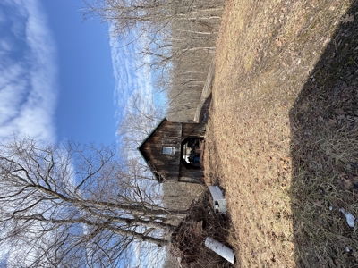 Dead End Road Old Homestead with Hunting and Timberland Tract 8 - image 32