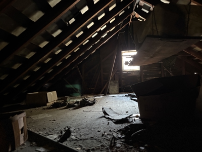 Dead End Road Old Homestead with Hunting and Timberland Tract 8 - image 23