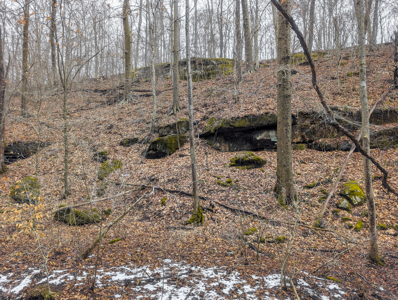 Dead End Road Old Homestead with Hunting and Timberland Tract 8 - image 45