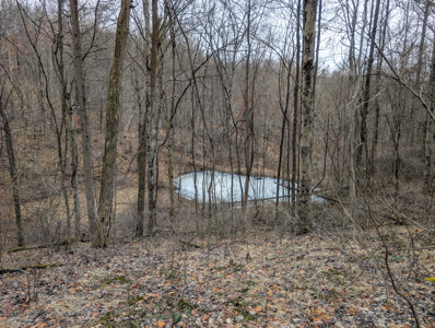 Dead End Road Old Homestead with Hunting and Timberland Tract 8 - image 43