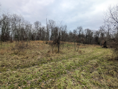 Dead End Road Old Homestead with Hunting and Timberland Tract 8 - image 44