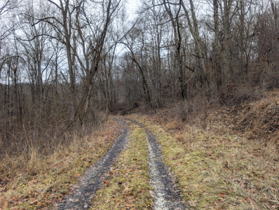 Dead End Road Old Homestead with Hunting and Timberland Tract 8 - image 40