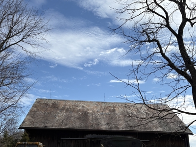 Dead End Road Old Homestead with Hunting and Timberland Tract 8 - image 35
