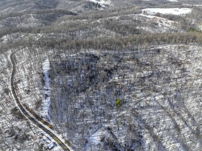 Smaller Monroe County Recreational Tract 9 - image 1