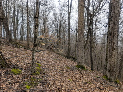 Smaller Monroe County Recreational Tract 9 - image 6