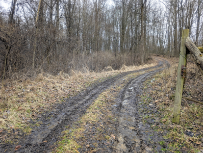 Smaller Monroe County Recreational Tract 9 - image 3