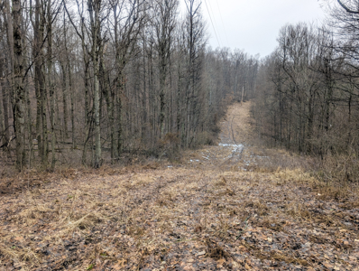 Smaller Monroe County Recreational Tract 9 - image 5