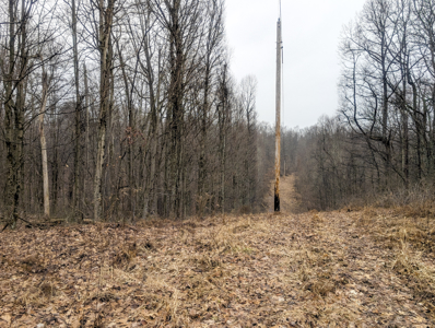 Smaller Monroe County Recreational Tract 9 - image 4