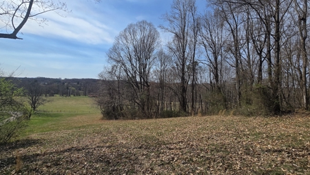 Land for Sale in Radford VA - image 2