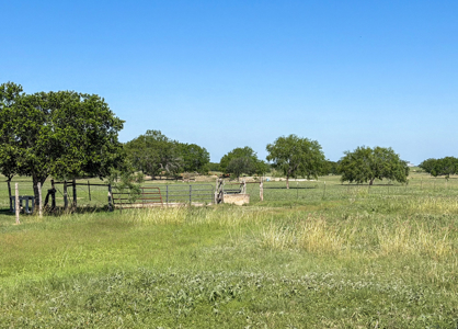Elevated Country Living on 20 Acres in prime location - image 46