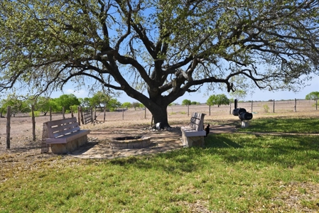 Elevated Country Living on 70 Acres in prime location - image 36