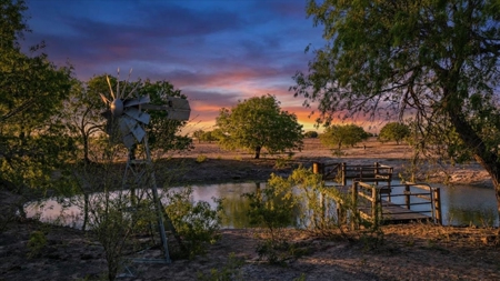 Elevated Country Living on 70 Acres in prime location - image 37