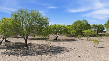 Elevated Country Living on 70 Acres in prime location - image 39