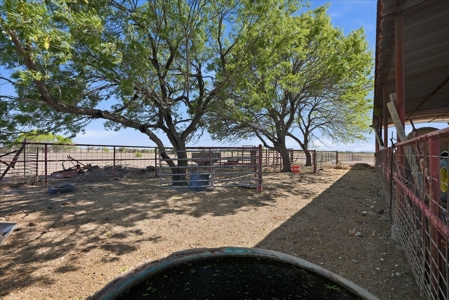 Elevated Country Living on 70 Acres in prime location - image 42