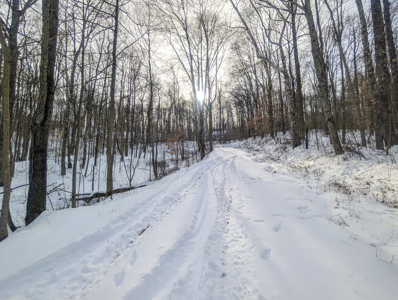 Secluded Property Monroe County Tract 10 - image 2