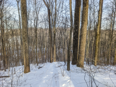 Secluded Property Monroe County Tract 10 - image 3
