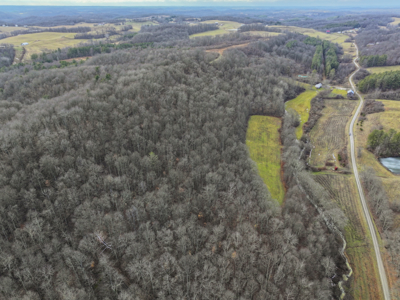 Secluded Property Monroe County Tract 10 - image 5