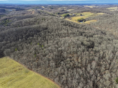 Secluded Property Monroe County Tract 10 - image 4