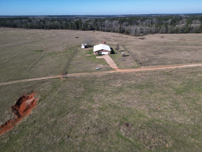 160 Acre Ranch for Sale in Doddridge, AR – Pasture, Ponds, Home - image 18