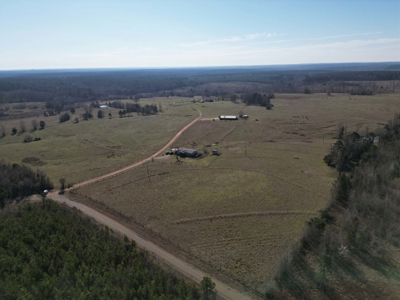 160 Acre Ranch for Sale in Doddridge, AR – Pasture, Ponds, Home - image 5
