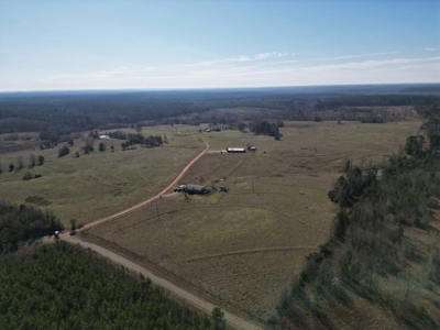 160 Acre Ranch for Sale in Doddridge, AR – Pasture, Ponds, Home - image 4