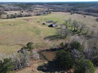 160 Acre Ranch for Sale in Doddridge, AR – Pasture, Ponds, Home - image 15