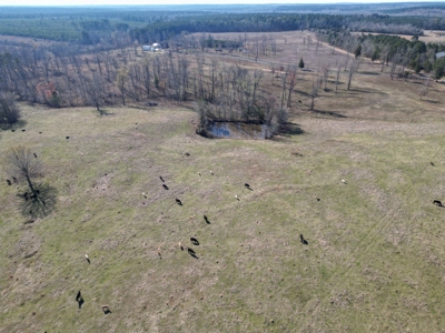 160 Acre Ranch for Sale in Doddridge, AR – Pasture, Ponds, Home - image 14