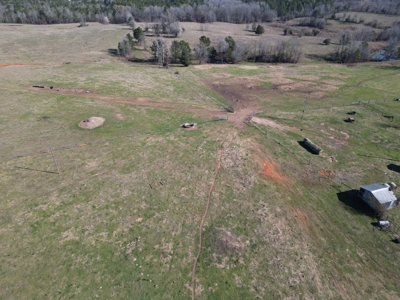 160 Acre Ranch for Sale in Doddridge, AR – Pasture, Ponds, Home - image 17