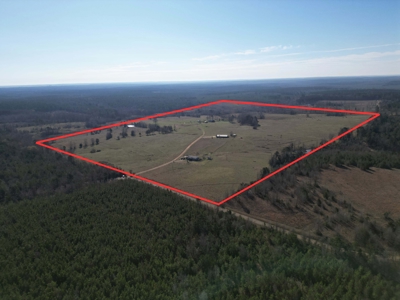 160 Acre Ranch for Sale in Doddridge, AR – Pasture, Ponds, Home - image 1