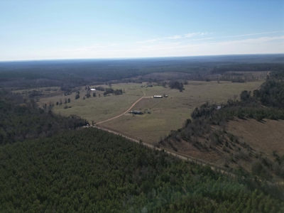 160 Acre Ranch for Sale in Doddridge, AR – Pasture, Ponds, Home - image 3