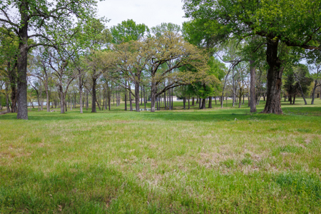 Ranch for Sale 76.5 Acres, 3 Ponds & Oak Timber Near Ben Wheeler - image 24