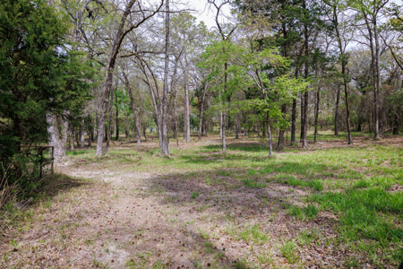 Ranch for Sale 76.5 Acres, 3 Ponds & Oak Timber Near Ben Wheeler - image 36