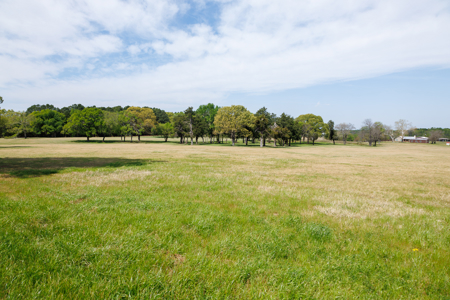 Ranch for Sale 76.5 Acres, 3 Ponds & Oak Timber Near Ben Wheeler - image 19