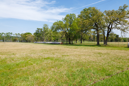 Ranch for Sale 76.5 Acres, 3 Ponds & Oak Timber Near Ben Wheeler - image 6