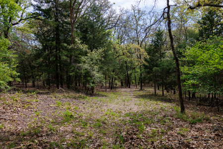 Ranch for Sale 76.5 Acres, 3 Ponds & Oak Timber Near Ben Wheeler - image 33