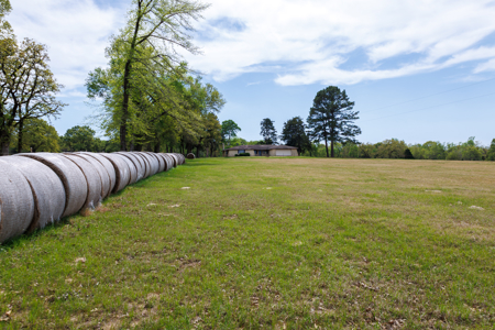 Ranch for Sale 76.5 Acres, 3 Ponds & Oak Timber Near Ben Wheeler - image 40
