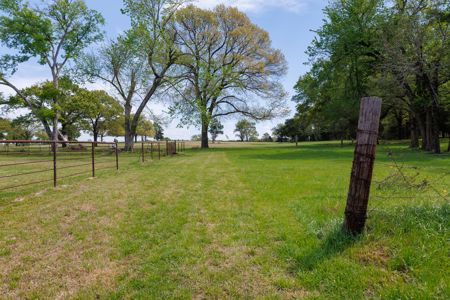 Ranch for Sale 76.5 Acres, 3 Ponds & Oak Timber Near Ben Wheeler - image 1