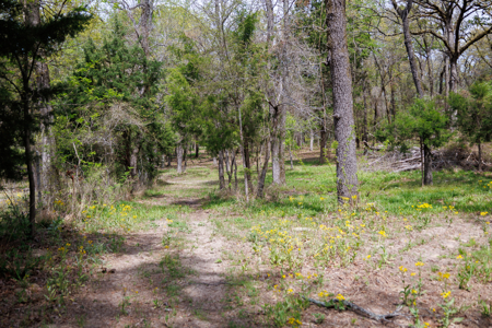Ranch for Sale 76.5 Acres, 3 Ponds & Oak Timber Near Ben Wheeler - image 35