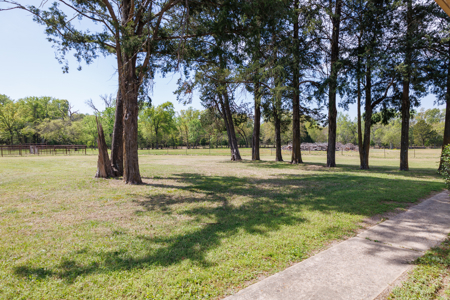Ranch for Sale 76.5 Acres, 3 Ponds & Oak Timber Near Ben Wheeler - image 3